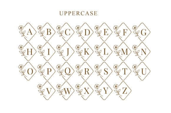 Poppy Floral Monogram Font PNG with transparent background - Preview 6