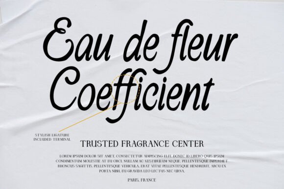 Amyround La Fonta Font - Preview 1