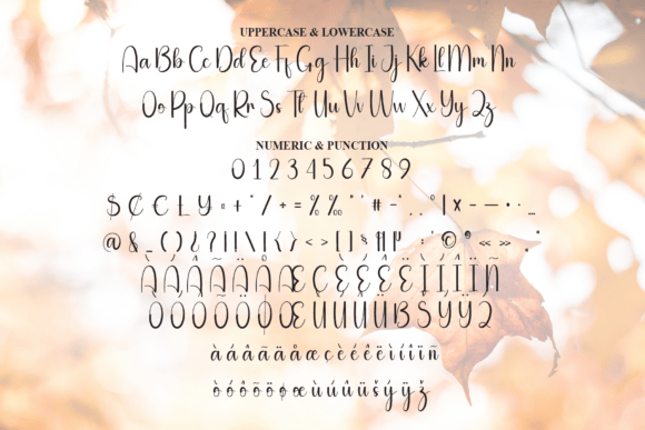 Autumn Font - Preview 6