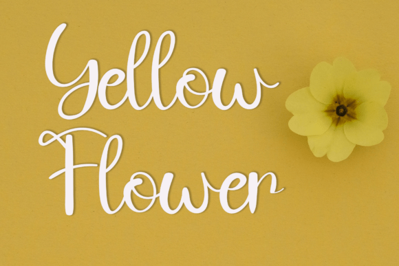 Beach Font - Preview 2