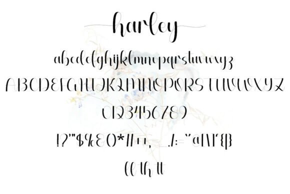 Harley Font - Preview 5
