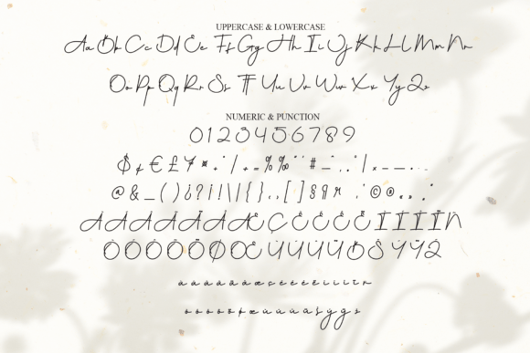 Angelina Font - Preview 6