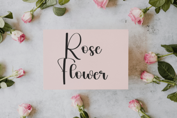 Bluebird Font - Preview 4