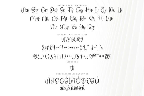 Buddy Signature Font - Preview 5