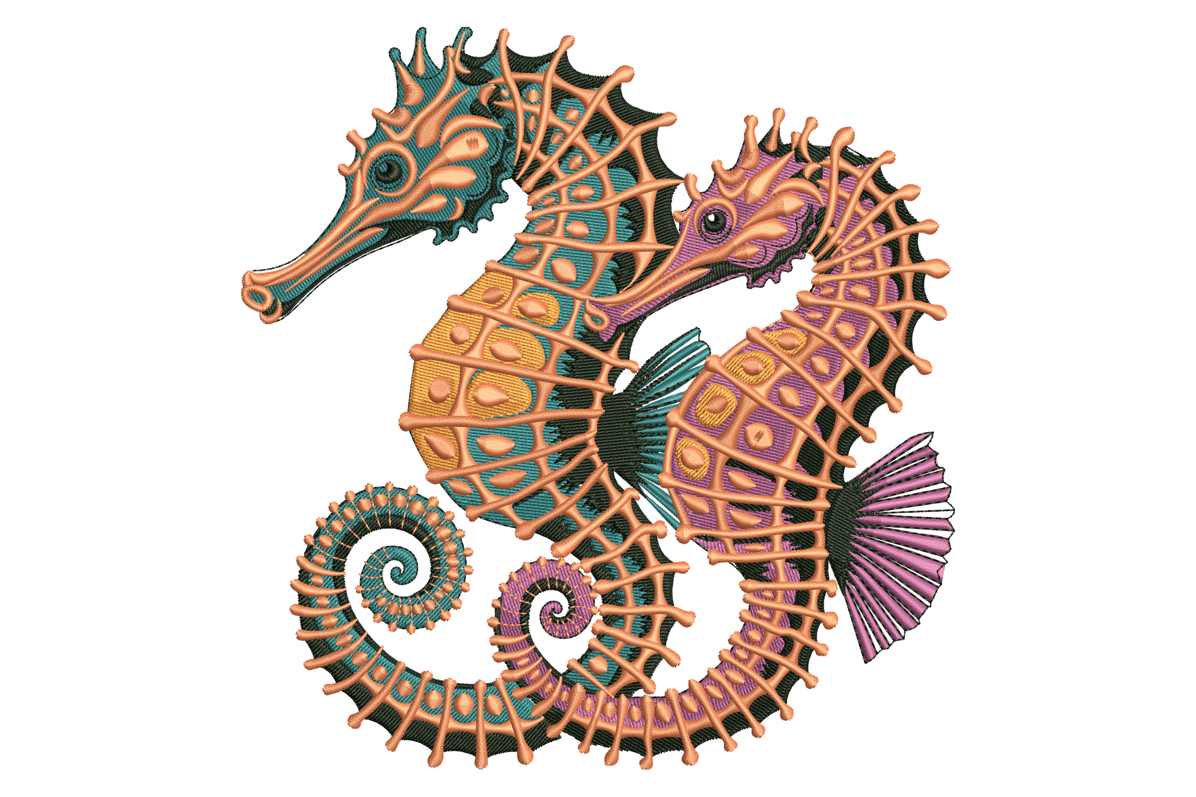 Colorful Seahorse Pair