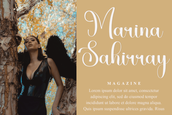 Harmony Signature Font - Preview 1