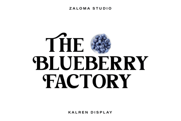Klaren Display Font - Preview 2