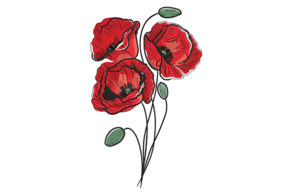 Red Poppy Flowers