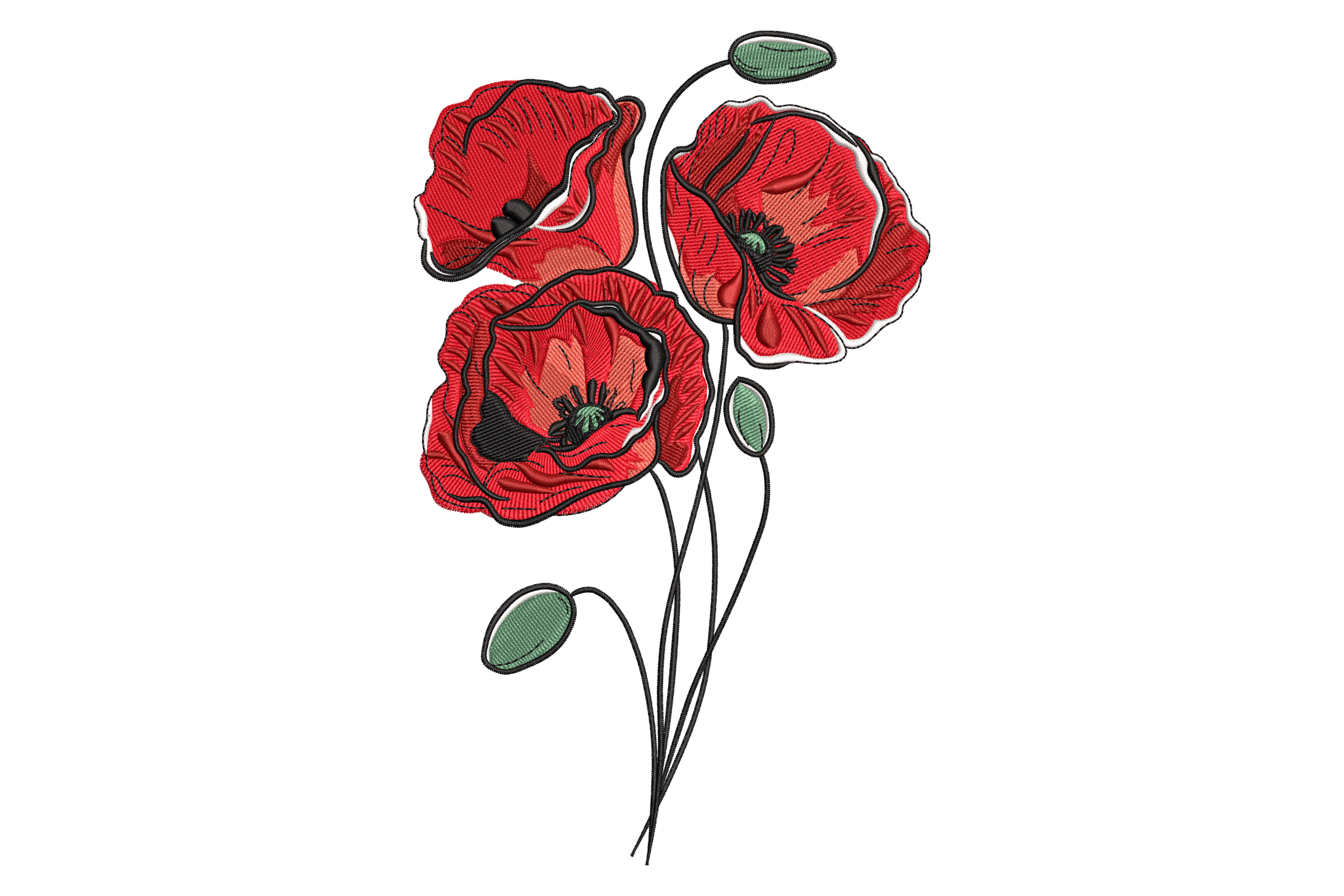 Red Poppy Flowers