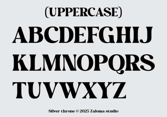 Silver Throne Font PNG with transparent background - Preview 5