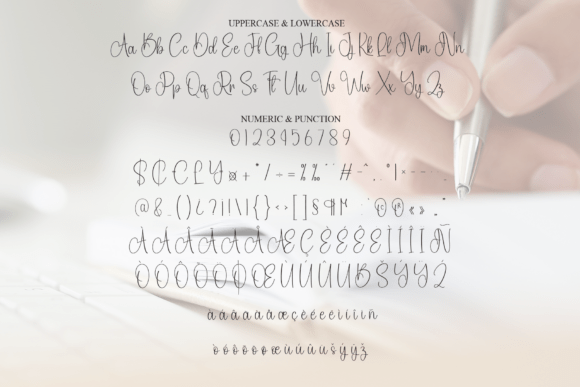 Amstedam Signature Font - Preview 6