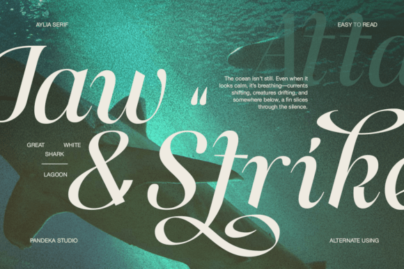 Aylia Font - Preview 5