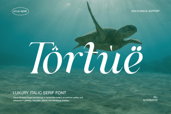 Aylia Font - Preview 6