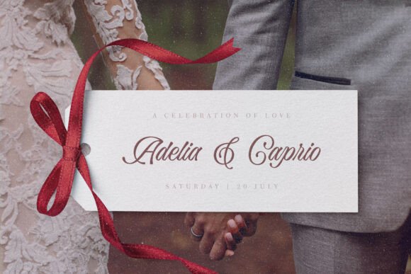 Bella Elegante Font - Preview 1