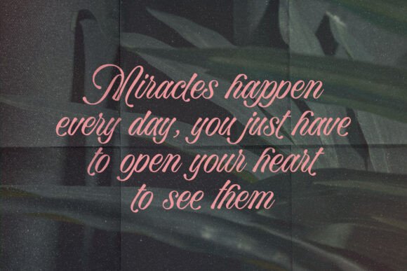Bella Elegante Font - Preview 2