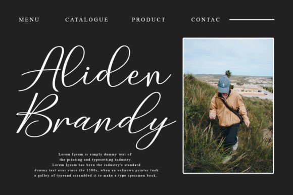 Birthday Signature Font - Preview 3