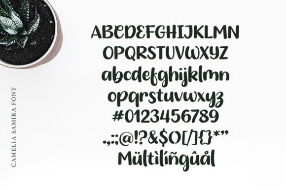 Camelia Samira Font - Preview 3