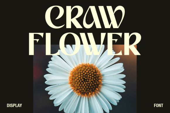 Croway Font - Preview 6