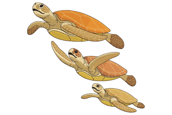 Graceful Hawksbill Turtles
