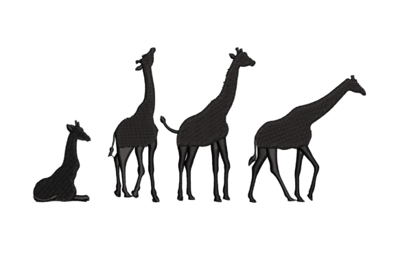 Wild Giraffes Silhouette Lineup