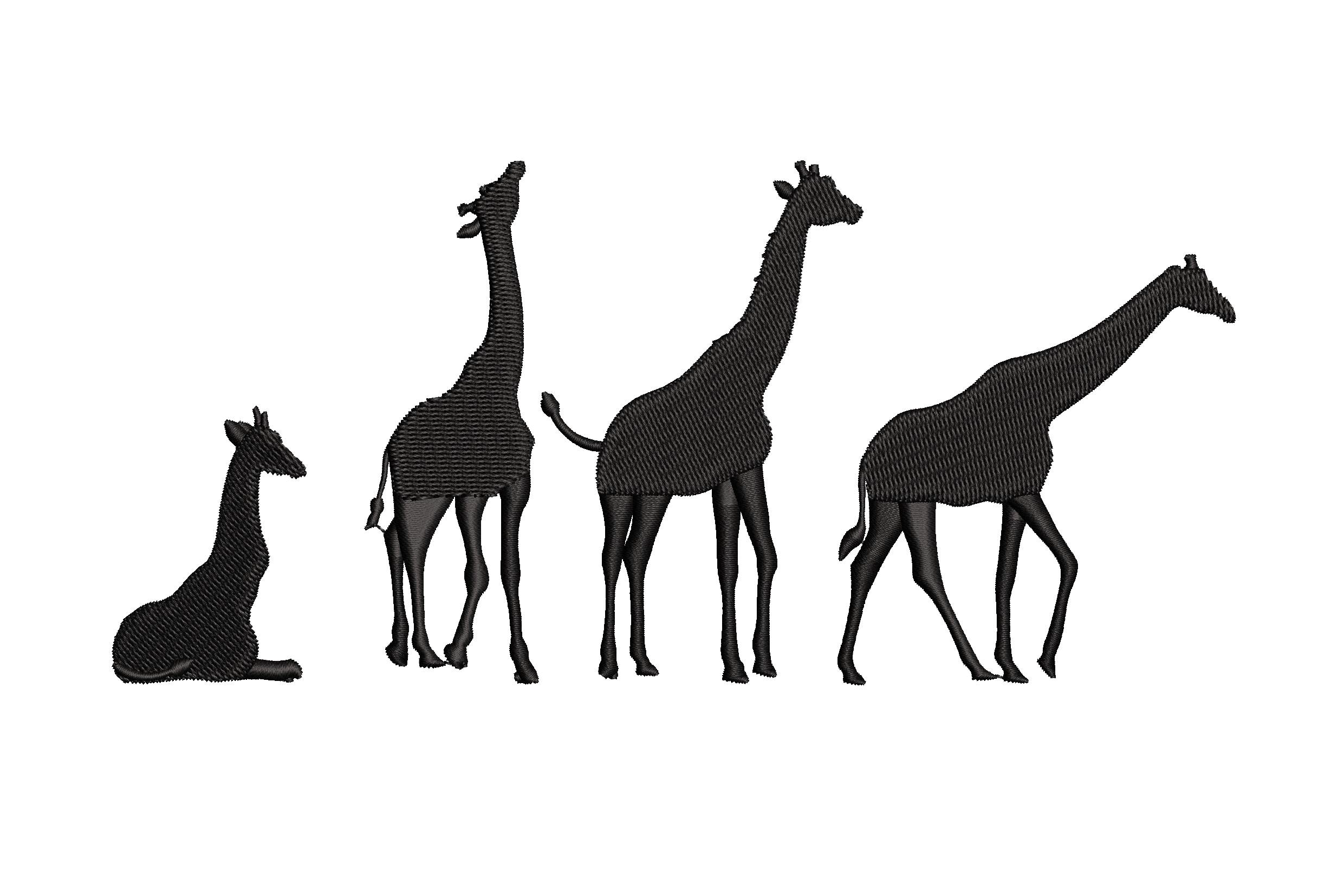 Wild Giraffes Silhouette Lineup