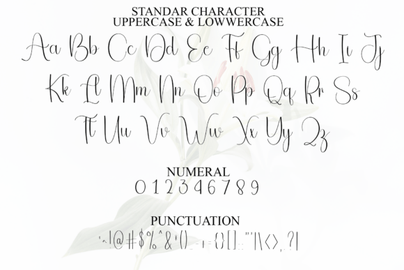 Animal Vacation Font - Preview 2