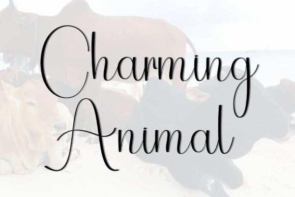 Animal Vacation Font - Preview 6