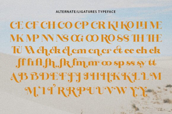 Bintro Font - Preview 4