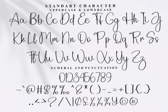 Branding Magnolia Font - Preview 4
