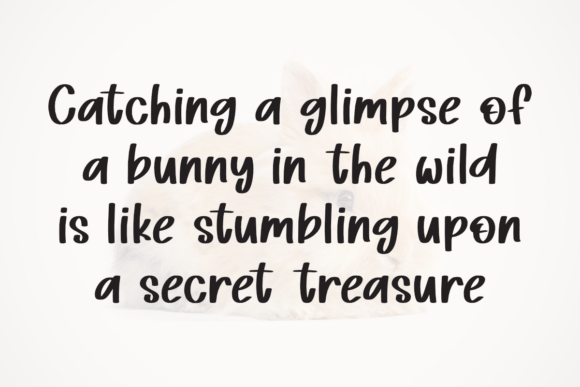 Bunny Glympse Font - Preview 2