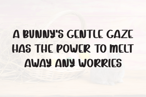 Bunny Script Font - Preview 2