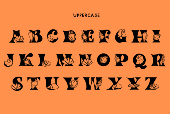 Shell Summer Font PNG with transparent background - Preview 5