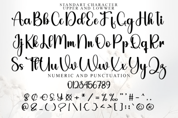 Handmade Calligraphy Font - Preview 4