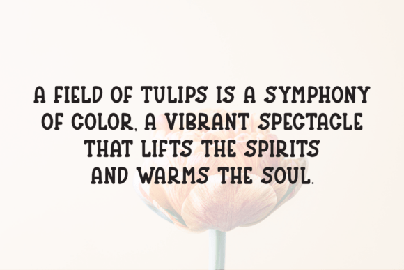 Cozy Tulips Font - Preview 2