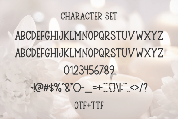 Design College Font - Preview 5