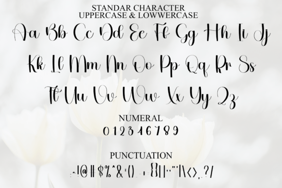 Fancy Party Font PNG with transparent background - Preview 2