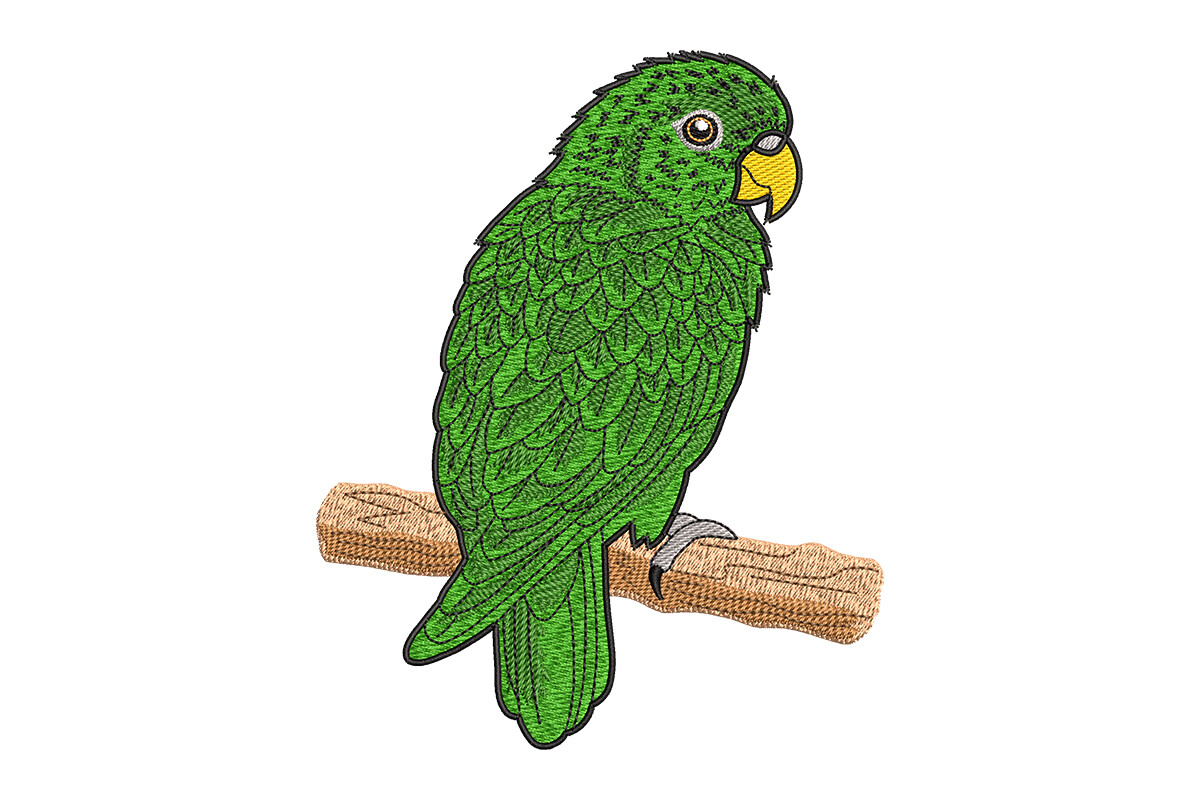 Lovely Parrot