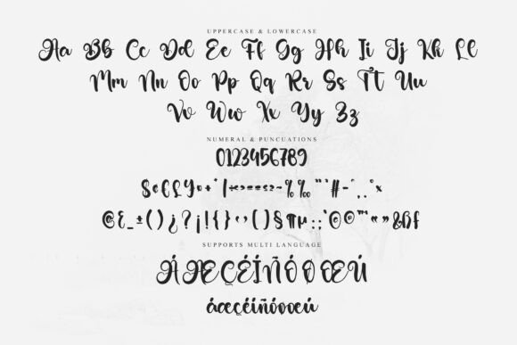 Better Autography Font - Preview 5