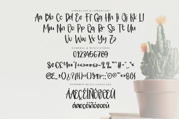 Blister Signature Font - Preview 4