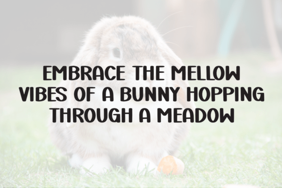 Bunny Mellow Font - Preview 2