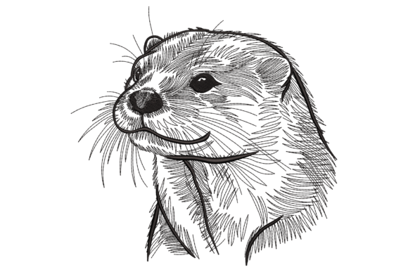 Drawn Otter Portrait