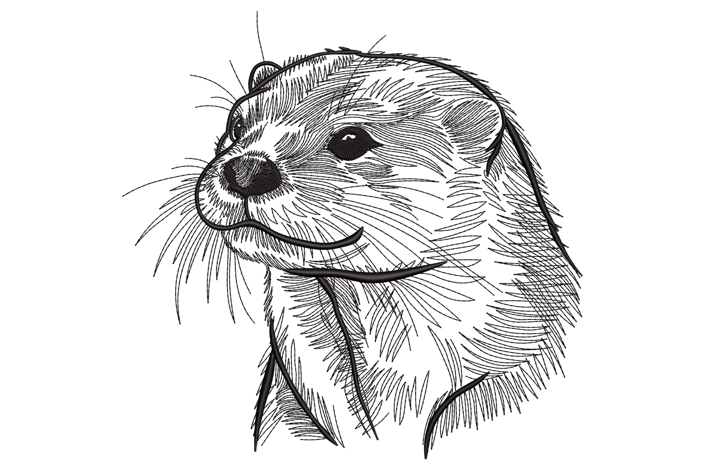 Drawn Otter Portrait