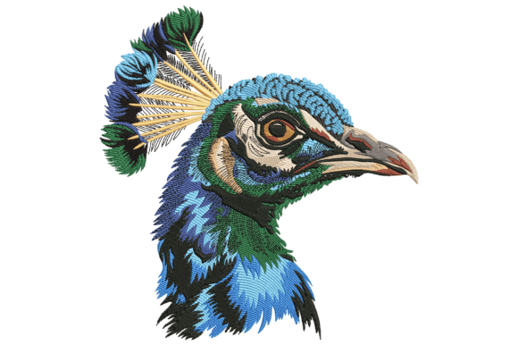 Elegant Peacock Head