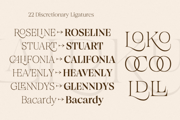 Browne De Calvin Font - Preview 4