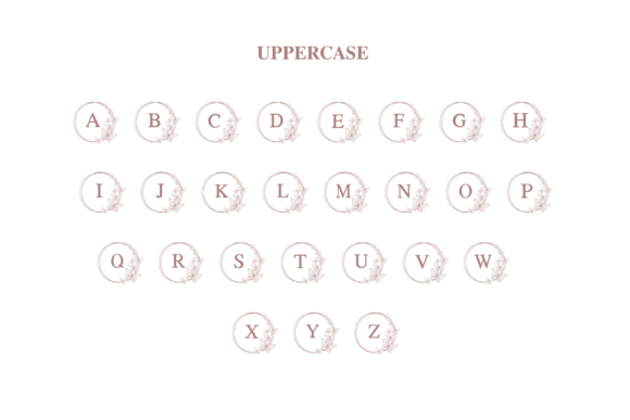 Emilia Butterfly Monogram Font - Preview 6