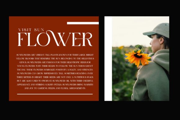 Gromer Font PNG with transparent background - Preview 1