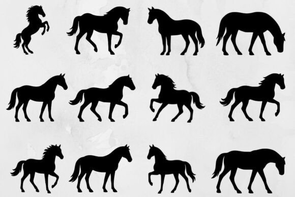 Horse Silhouette SVG Graphic Illustrations By WieDigitalArt