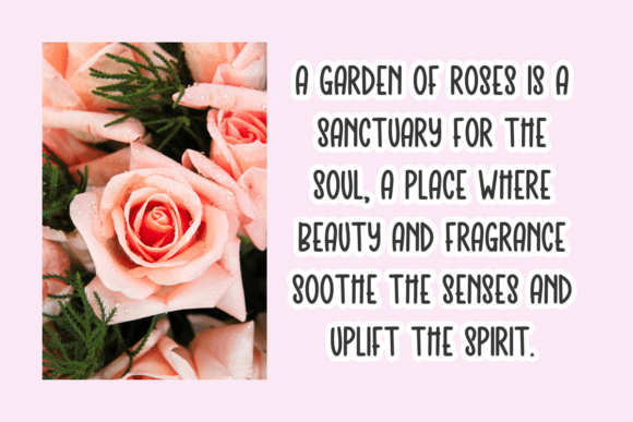 Aura Rose Font - Preview 2