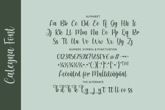Caleyna Font - Preview 3