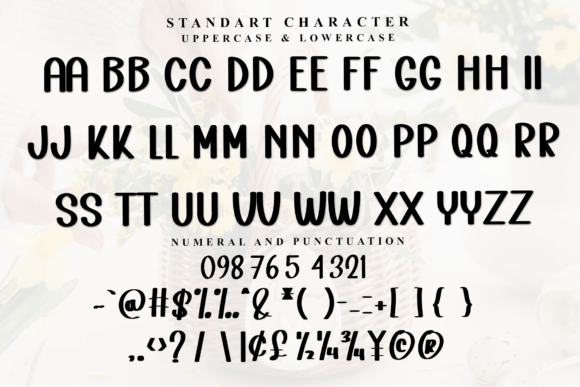 Book Writing Font font preview - 3
